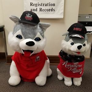 Meet your Posher, Mary ann